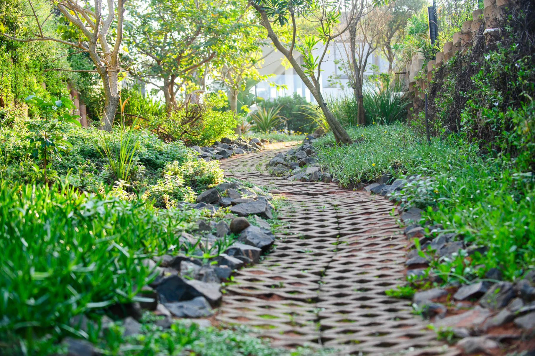 Scenic coastal trails